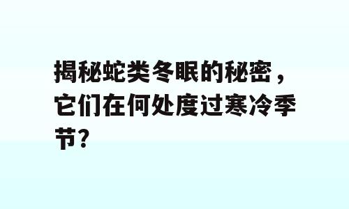 揭秘蛇类冬眠的秘密，它们在何处度过寒冷季节？