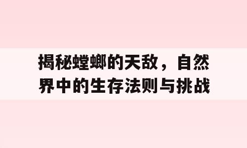 揭秘螳螂的天敌，自然界中的生存法则与挑战