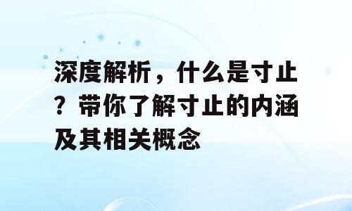 深度解析，什么是寸止？带你了解寸止的内涵及其相关概念