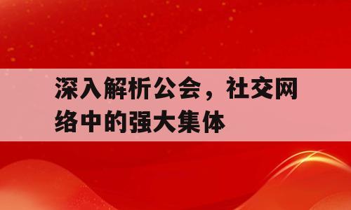 深入解析公会，社交网络中的强大集体