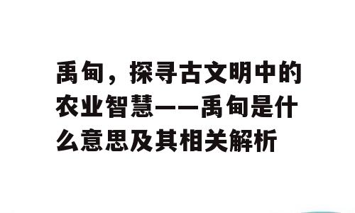 禹甸，探寻古文明中的农业智慧——禹甸是什么意思及其相关解析