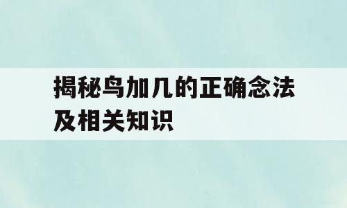 揭秘鸟加几的正确念法及相关知识