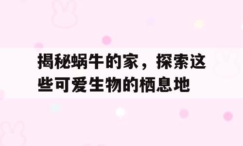 揭秘蜗牛的家，探索这些可爱生物的栖息地