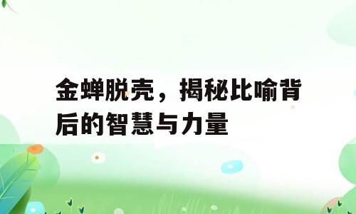 金蝉脱壳，揭秘比喻背后的智慧与力量