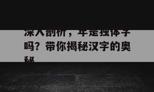 深入剖析，年是独体字吗？带你揭秘汉字的奥秘
