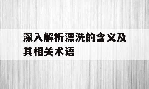 深入解析漂洗的含义及其相关术语