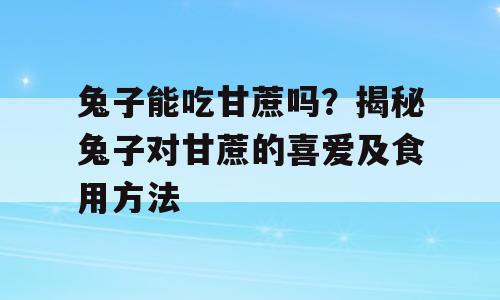兔子能吃甘蔗吗？揭秘兔子对甘蔗的喜爱及食用方法