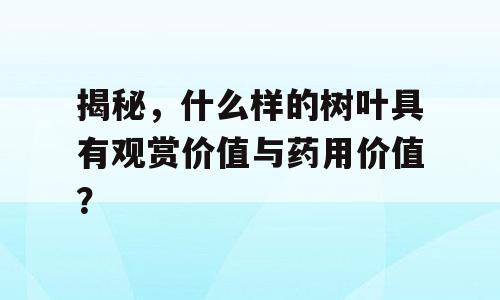 揭秘，什么样的树叶具有观赏价值与药用价值？