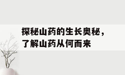 探秘山药的生长奥秘，了解山药从何而来