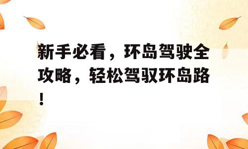新手必看，环岛驾驶全攻略，轻松驾驭环岛路！