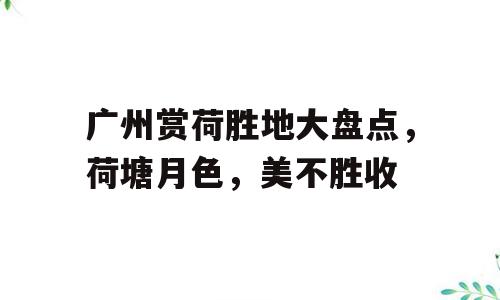 广州赏荷胜地大盘点，荷塘月色，美不胜收