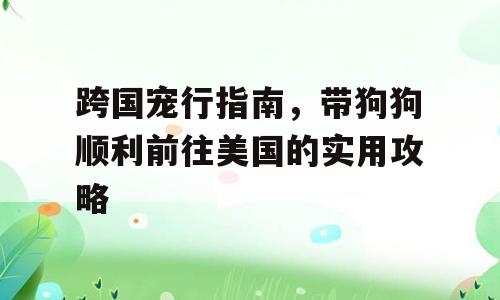 跨国宠行指南，带狗狗顺利前往美国的实用攻略