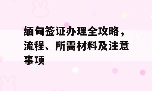 缅甸签证办理全攻略，流程、所需材料及注意事项