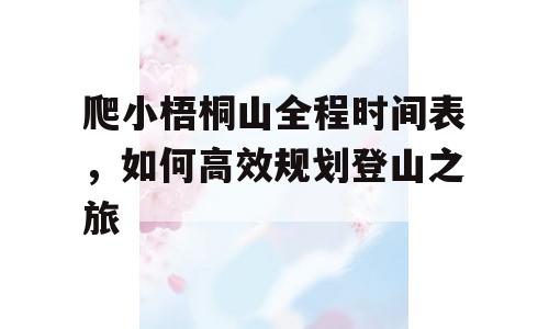 爬小梧桐山全程时间表，如何高效规划登山之旅