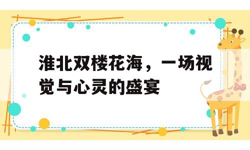 淮北双楼花海，一场视觉与心灵的盛宴