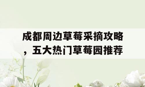 成都周边草莓采摘攻略，五大热门草莓园推荐