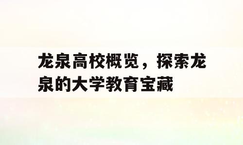 龙泉高校概览，探索龙泉的大学教育宝藏
