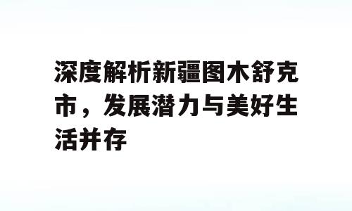 深度解析新疆图木舒克市，发展潜力与美好生活并存