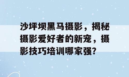 沙坪坝黑马摄影，揭秘摄影爱好者的新宠，摄影技巧培训哪家强？