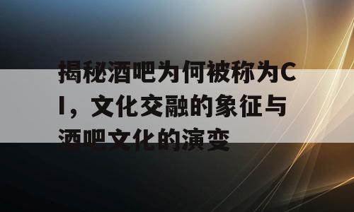 揭秘酒吧为何被称为CI，文化交融的象征与酒吧文化的演变