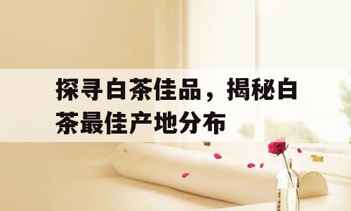探寻白茶佳品，揭秘白茶最佳产地分布