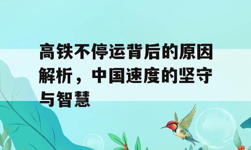 高铁不停运背后的原因解析，中国速度的坚守与智慧