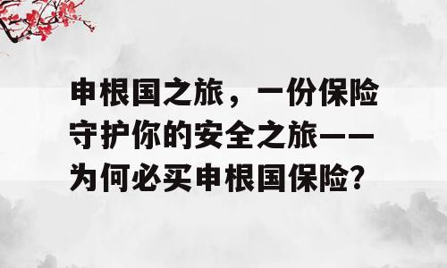 申根国之旅，一份保险守护你的安全之旅——为何必买申根国保险？