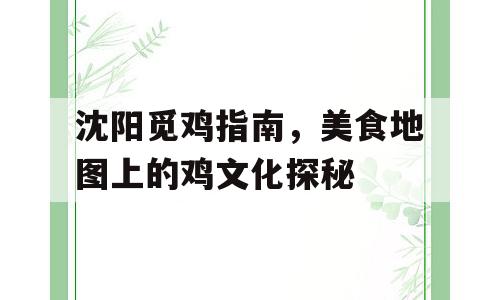 沈阳觅鸡指南，美食地图上的鸡文化探秘