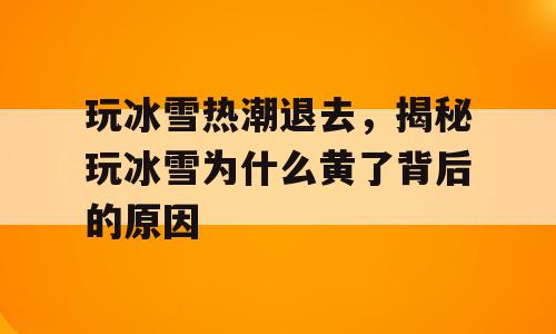 玩冰雪热潮退去，揭秘玩冰雪为什么黄了背后的原因