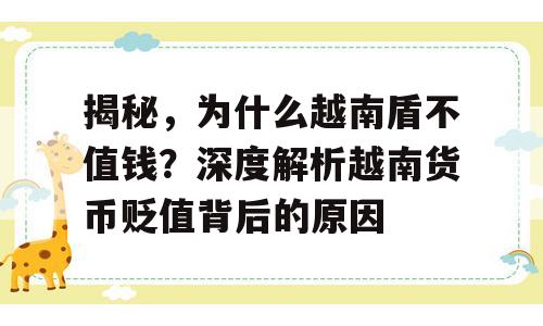 揭秘，为什么越南盾不值钱？深度解析越南货币贬值背后的原因