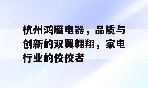 杭州鸿雁电器，品质与创新的双翼翱翔，家电行业的佼佼者
