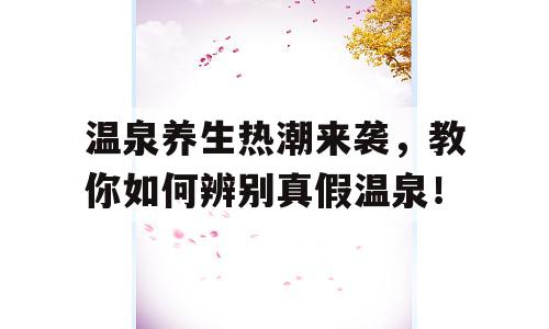 温泉养生热潮来袭，教你如何辨别真假温泉！