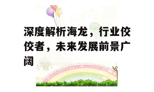 深度解析海龙，行业佼佼者，未来发展前景广阔