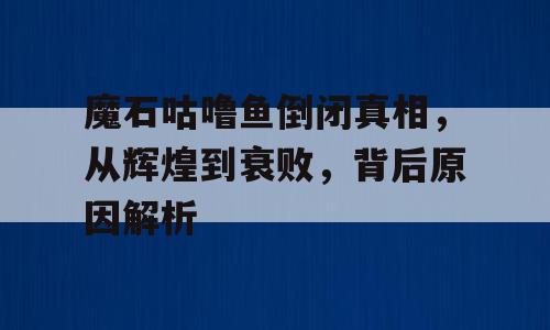 魔石咕噜鱼倒闭真相，从辉煌到衰败，背后原因解析