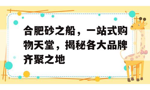 合肥砂之船，一站式购物天堂，揭秘各大品牌齐聚之地