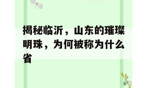 揭秘临沂，山东的璀璨明珠，为何被称为什么省