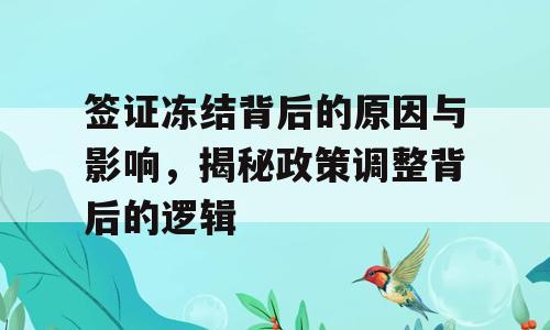 签证冻结背后的原因与影响，揭秘政策调整背后的逻辑