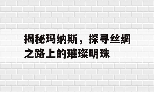 揭秘玛纳斯，探寻丝绸之路上的璀璨明珠