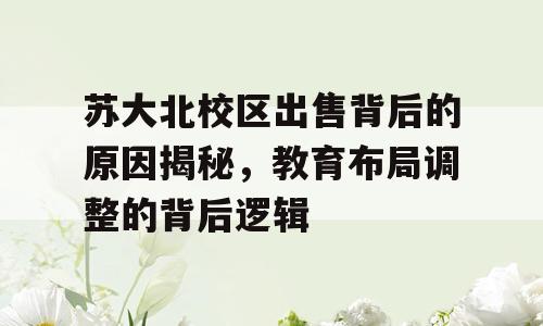 苏大北校区出售背后的原因揭秘，教育布局调整的背后逻辑