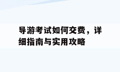 导游考试如何交费，详细指南与实用攻略