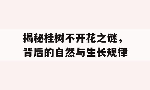 揭秘桂树不开花之谜，背后的自然与生长规律