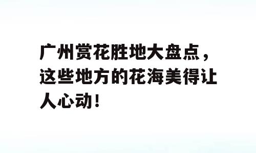 广州赏花胜地大盘点，这些地方的花海美得让人心动！