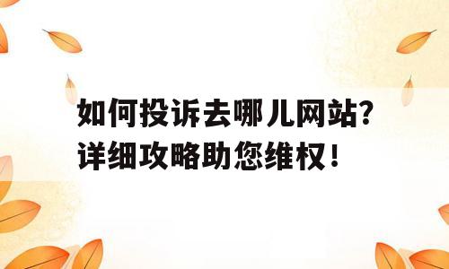 如何投诉去哪儿网站？详细攻略助您维权！