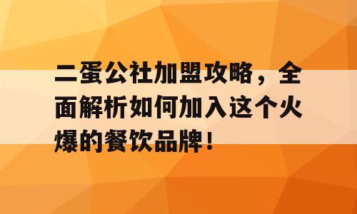二蛋公社加盟攻略，全面解析如何加入这个火爆的餐饮品牌！