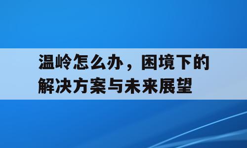 温岭怎么办，困境下的解决方案与未来展望