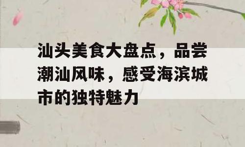 汕头美食大盘点，品尝潮汕风味，感受海滨城市的独特魅力
