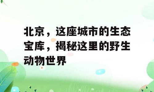 北京，这座城市的生态宝库，揭秘这里的野生动物世界