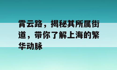 霄云路，揭秘其所属街道，带你了解上海的繁华动脉