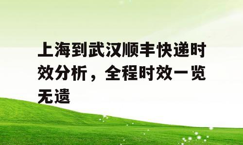 上海到武汉顺丰快递时效分析，全程时效一览无遗