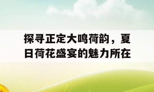 探寻正定大鸣荷韵，夏日荷花盛宴的魅力所在